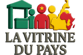 vitrine237 - la vitrine du pays